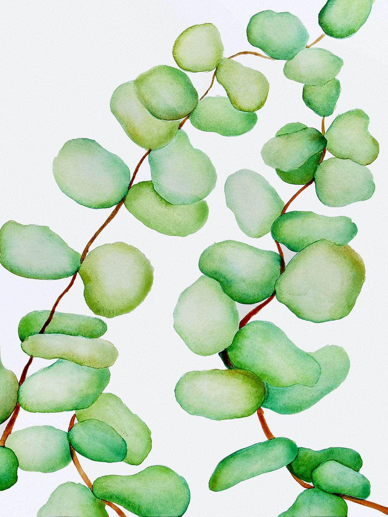 Watercolor Plant Series - Bloom