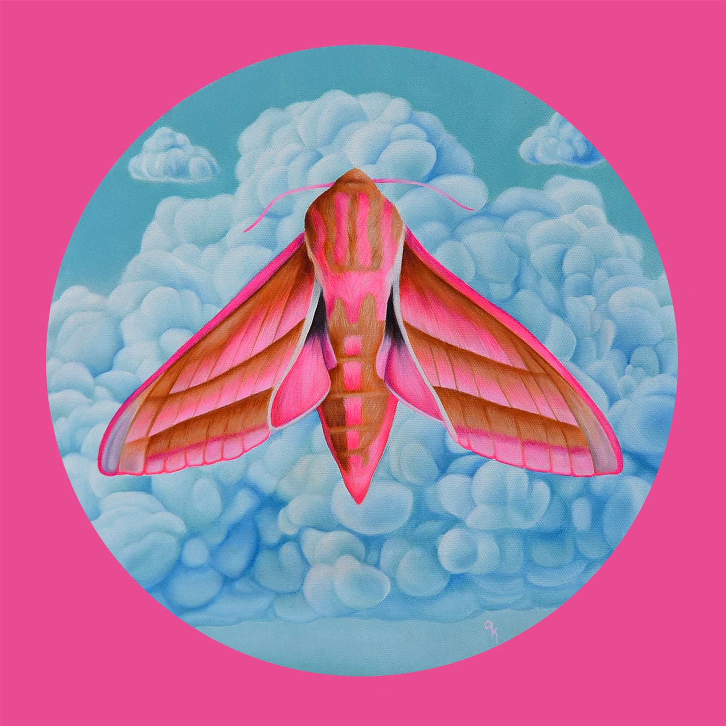 "Elephant Hawk Moth" Print