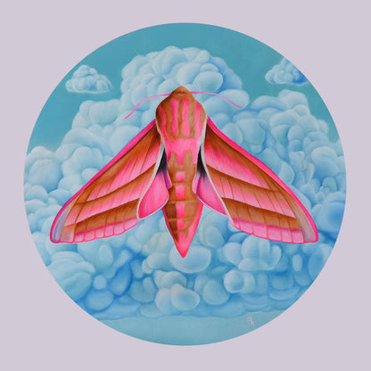 "Elephant Hawk Moth" Print