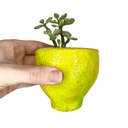 Lil' Lemon Pot