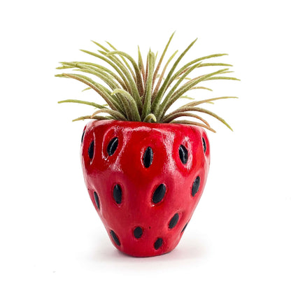 Lil' Strawberry Pot