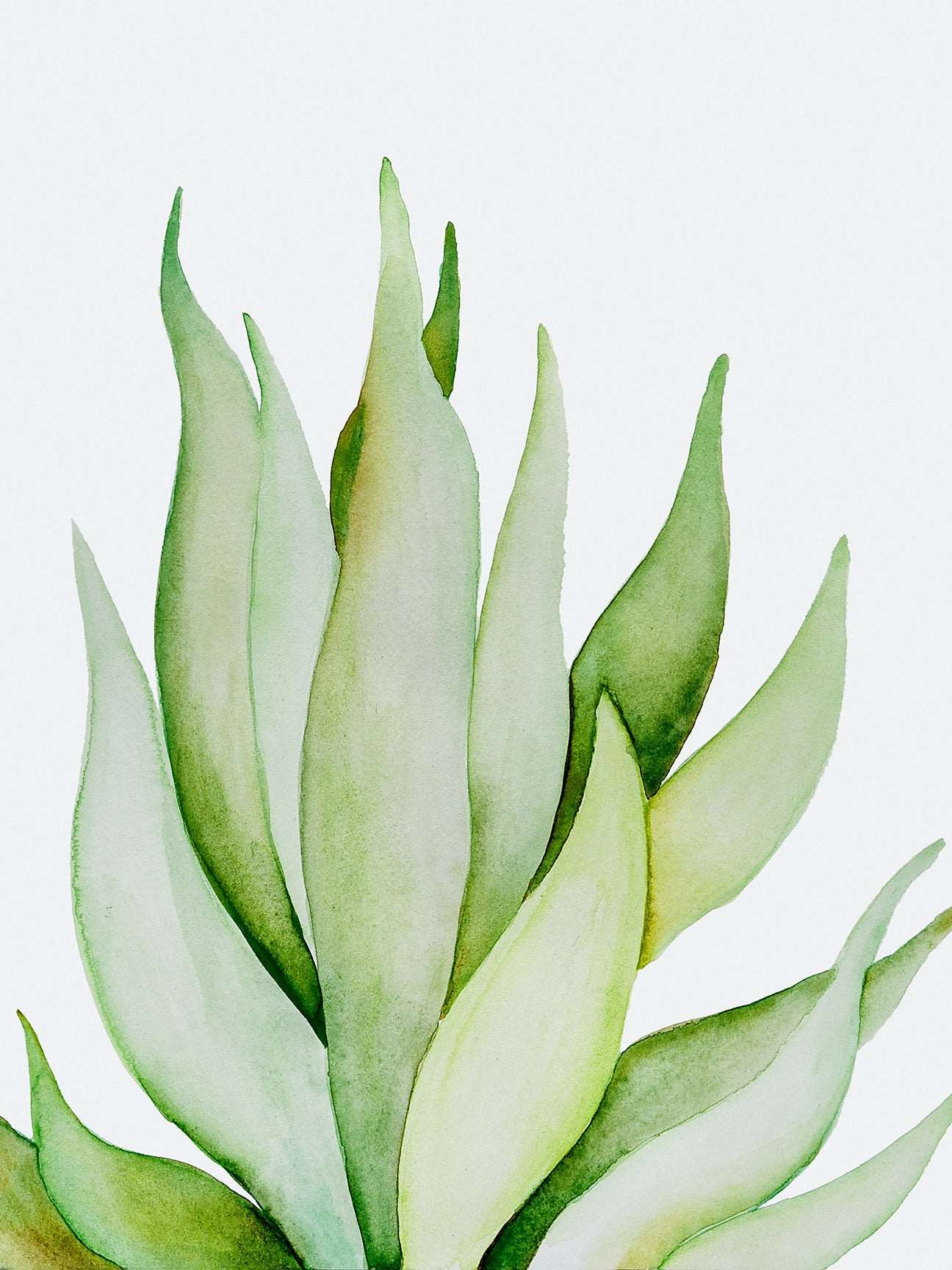 Watercolor Plant Series - Thrive